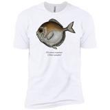 silver spinyfin T-Shirt