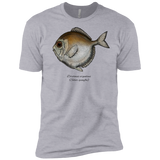 silver spinyfin T-Shirt