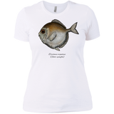 silver spinyfin T-Shirt