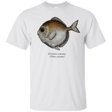 silver spinyfin T-Shirt