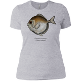 silver spinyfin T-Shirt