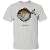 silver spinyfin T-Shirt