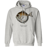 silver spinyfin T-Shirt